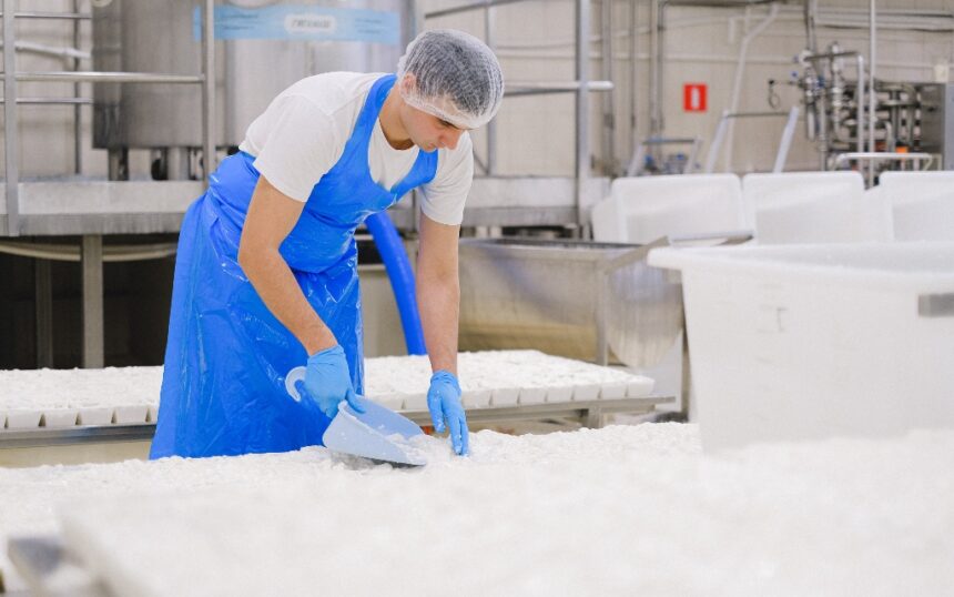 "Мръсните" тайни на млечната индустрия