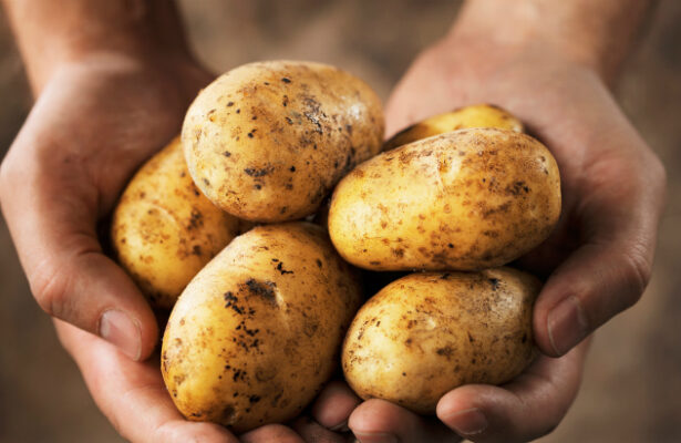 Могат ли картофите да ни помогнат да отслабнем?