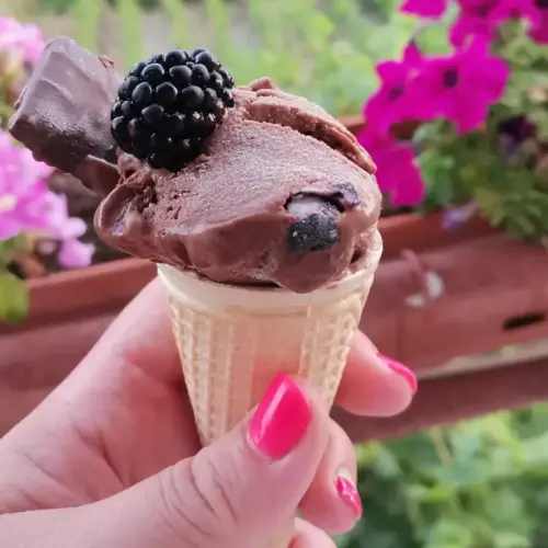 Домашен шоколадов сладолед с маскарпоне