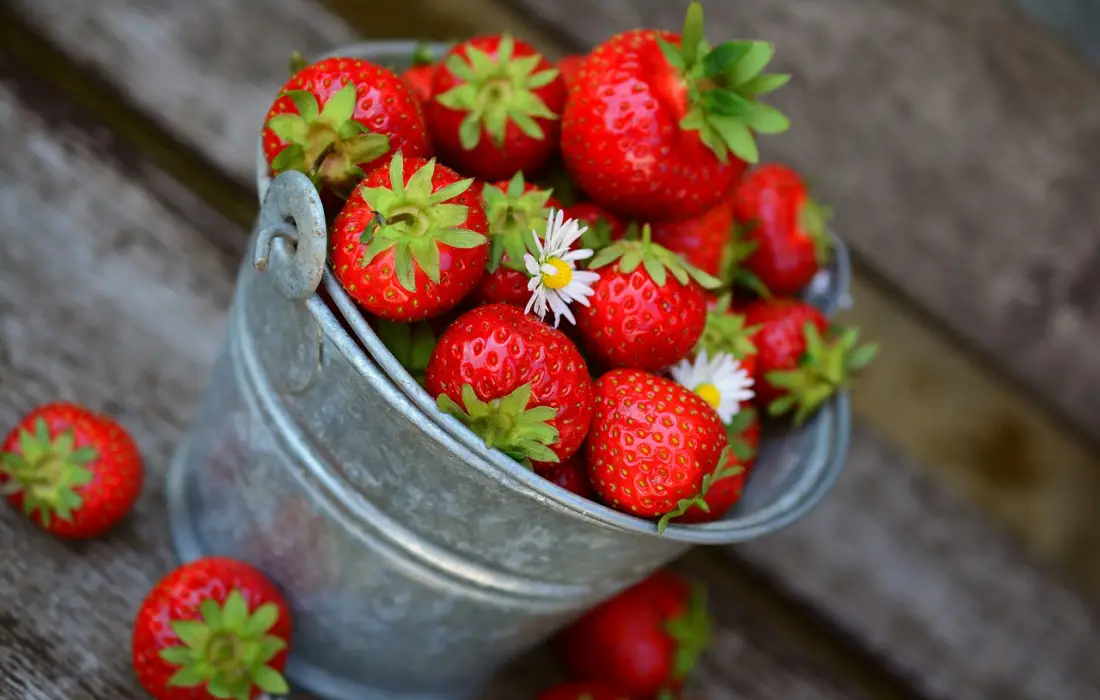 Как да запазим ягодите за по-дълго?